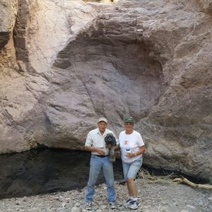 Meet your Posher, Renee